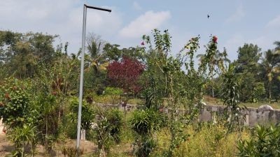 Viral..!! Tiang Lampu Kuburan di Bondowoso Bergerak Sendiri, Warga Sebut Akibat Penambangan Pasir