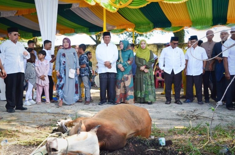 Wali Kota Padangsidimpuan