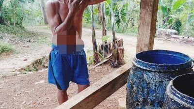 Getah Pinus Anjlok Diharga Rp 4 Ribu, Petani di Banjarnegara Mengeluh