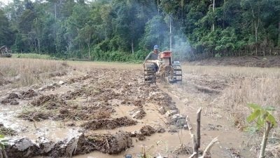Musim Tanam Tiba, Petani di Kecamatan Luas Kaur Tidak Mendapatkan Bibit Unggul