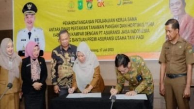 Pemda Kampar Tandatangani MoU dengan PT Asuransi Jasindo, Bantu Ringankan Petani dari Resiko Gagal Panen