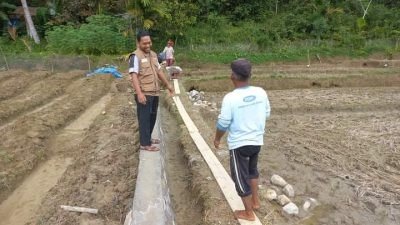 Wakil Ketua DPRD Pasaman Tinjau Pembangunan Saluran Irigasi