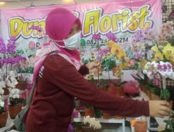 Berawal dari Hobi, Yuli Warga Kalisat Jember Ikuti Pameran Festival Anggrek