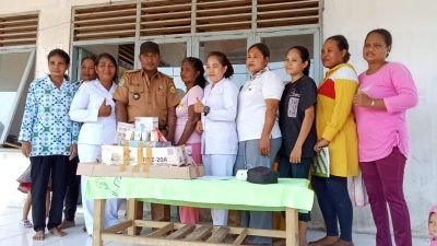 Tingkatkan Pelayanan Kesehatan, Pemdes Nunca di Taliabu Rutin Menggelar Posyandu