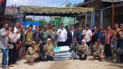 Wabup Tapsel Serahkan Belasan Ton Pupuk dan Ratusan Ribu Bibit Kopi Kepada 608 Petani Kopi