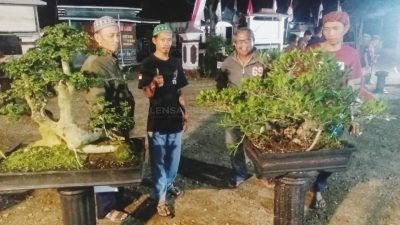 Menyongsong Kemerdekaan RI, Berbagai Macam Pohon Ikuti Karing Bonsai di Banjarnegara