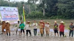 Wakil Ketua DPRD Kabupaten Kampar