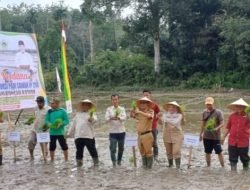 Wakil Ketua DPRD Kampar, Fahmil: Pemerintah Harus Fokus Perhatikan Petani Padi Sawah Agar Produksi Bisa Meningkat