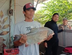 Cara Satpol PP Ngawi Sosialisasi Rokok Ilegal, Adakan Mancing Bersama di Kolam Pemancingan Tirta Graha Diikuti 2.000 Peserta