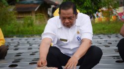 Wali Kota Padangsidimpuan