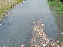Beberapa Sungai di Jember Tercemar, Perlu Perda Tentang Perlindungan dan Pengelolaan Lingkungan Hidup
