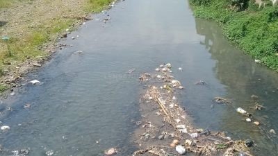 Beberapa Sungai di Jember Tercemar, Perlu Perda Tentang Perlindungan dan Pengelolaan Lingkungan Hidup