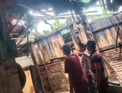 Diduga Lalai Matikan Kayu Bakar Sisa Merebus Air, Dapur dan Rumah Warga Semaka di Tanggamus Hangus Terbakar