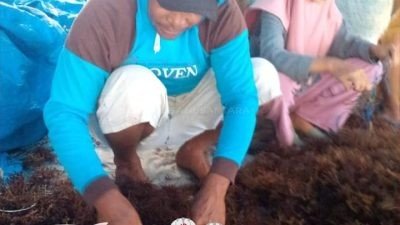 Huadi Bantaeng Industry Park Kembali Menyalurkan CSR Berupa Pembibitan Rumput Laut Kepada Warga