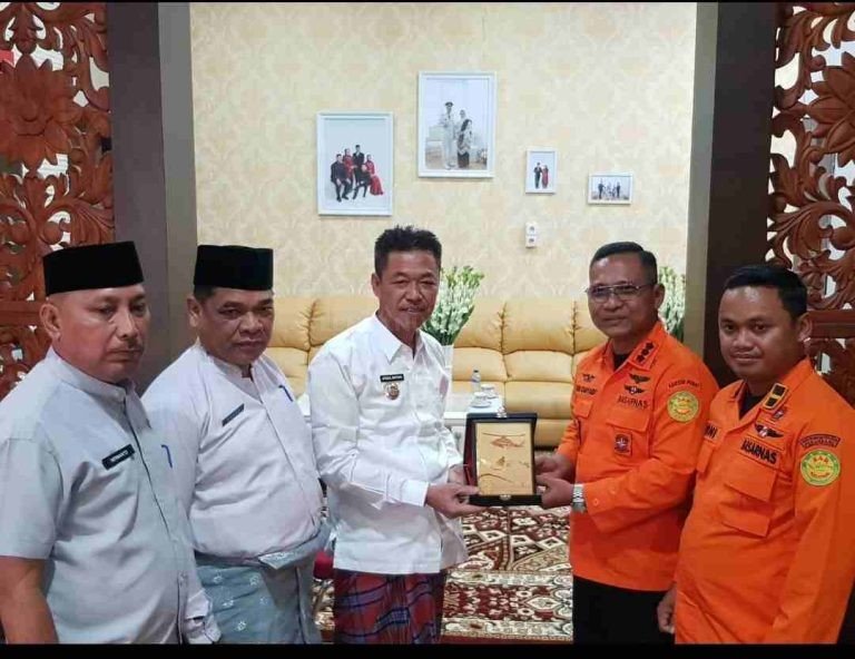 Bupati Rohil