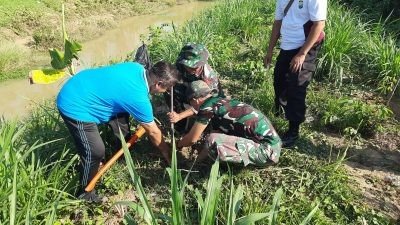 Tangkal Longsor, Kodim 0826 Pamekasan Tanam Ratusan Pohon di Tanggul Sungai Afour Jombang