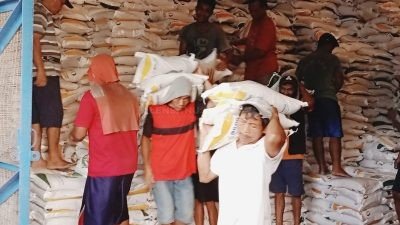 Jelang Nataru, Pasokan Beras di Bulog Purwonegoro Banjarnegara Masih Aman, Kabulog : Lebih Dari Cukup