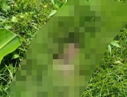 Cium Bau Menyengat, Warga Perumahan di Jember Geger Temukan Mayat Bayi Terbungkus Plastik
