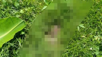 Cium Bau Menyengat, Warga Perumahan di Jember Geger Temukan Mayat Bayi Terbungkus Plastik