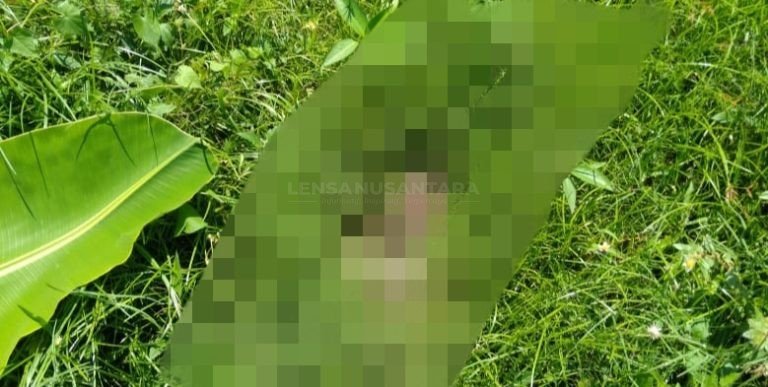 Kanit Reskrim Polsek Patrang