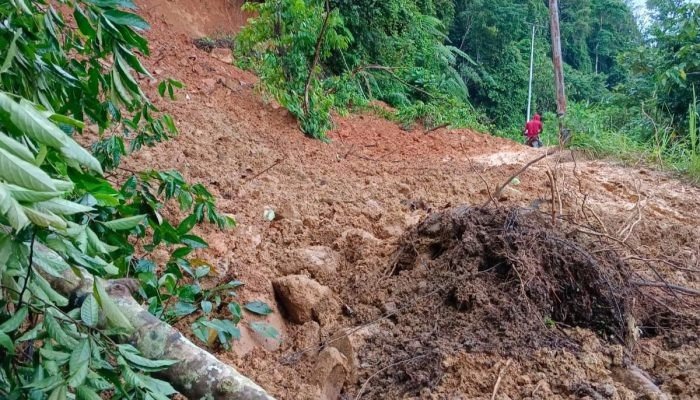Ratusan Warga Terisolasi Akibat Longsor, DPRD Menilai BPBD Pasaman Lamban