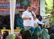 Bupati dan Ketua TP PKK Tapsel Lakukan Panen Perdana Bawang Merah di Desa Simaninggir