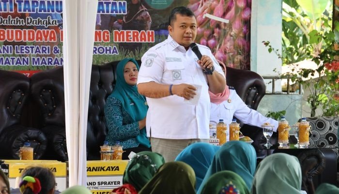 Bupati dan Ketua TP PKK Tapsel Lakukan Panen Perdana Bawang Merah di Desa Simaninggir