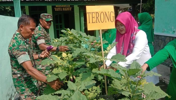 Semarak HUT ke-78, Wakil Ketua Persit KCK Cabang XXXVIII Kodim 0824/Jember Pimpin Penilaian Tanaman Ketahanan Pangan
