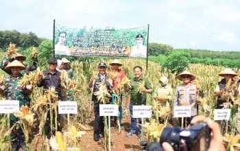 Kepala DKPP Ngawi