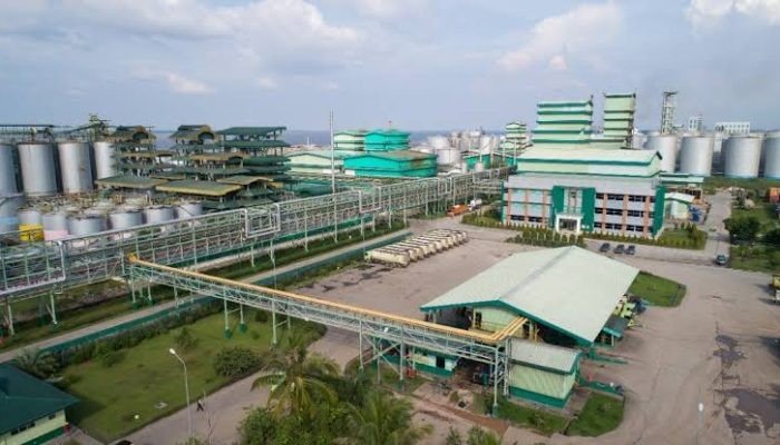 Investasi 1 Miliar USD, Apical Kembangkan Industri Hilirisasi Sawit di Dumai
