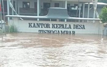 Tiga Desa