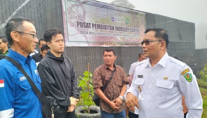 Wabup Tapsel Bantu Puluhan Ribu Bibit Kopi Pada Petani di Saipar Dolok Hole