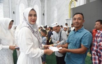 Penasehat DWP Tapsel