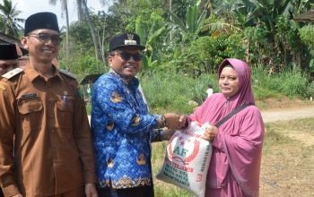 Pj Wali Kota Padangsidimpuan