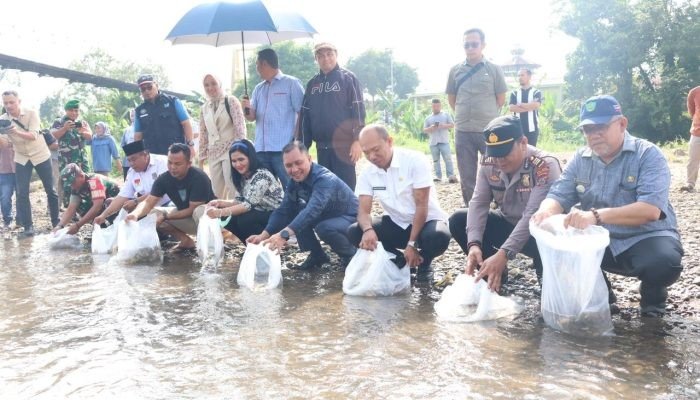 Bupati Tapsel Bersama Masyarakat Muara Purba Nauli dan Sori Manaon Lakukan Tebar Benih Ikan Nila
