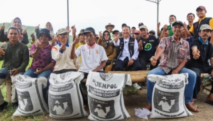 Bupati Hendy Distribusikan Bantuan Pupuk Si-Jempol di Kecamatan Ambulu Jember