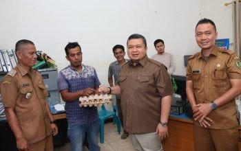 Bupati Tapsel