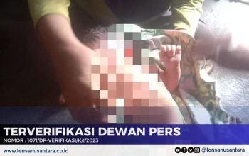 Warga Temukan Bayi Dalam Gardus di Tepi Jalan Raya Menuju Desa Kataga Pulau Taliabu
