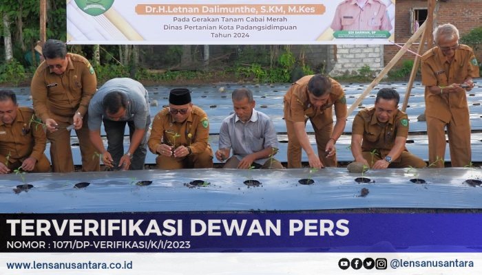 Pj Wali Kota Padangsidimpuan Sebut Tanam Cabai Merupakan Langkah Konkrit Kendalikan Inflasi Daerah