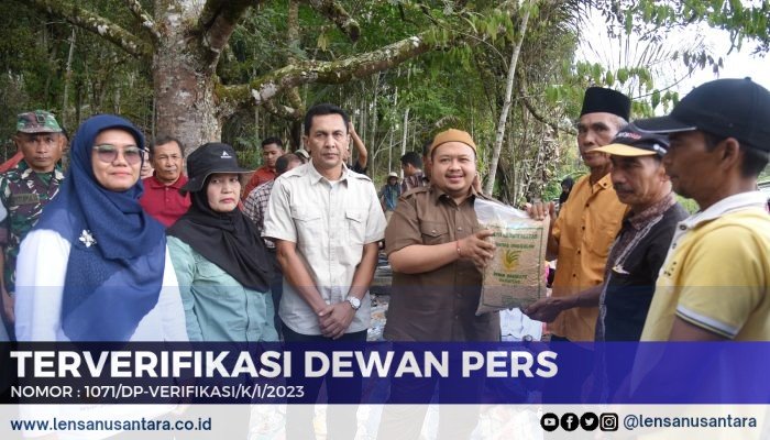 Bupati Tapsel Bersama Sejumlah Koptan Tanam Bibit Varietas Unggul di Sipirok