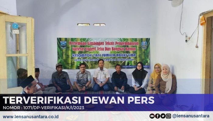 Disperta Probolinggo Lakukan Pengembangan Varietas Unggul Tebu dan Bongkar Ratoon