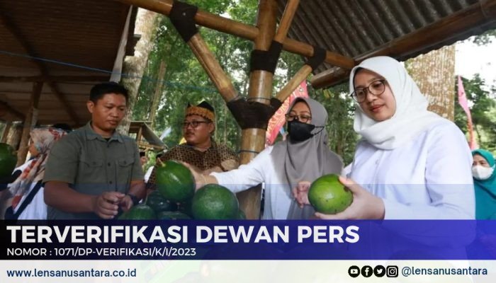 Bupati Banyuwangi Komitmen Promosikan Alpukat Aligator