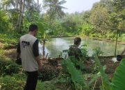 Diduga Kelaparan, Puluhan Monyet Serang Pemukiman Warga di Banjarnegara