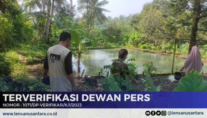 Diduga Kelaparan, Puluhan Monyet Serang Pemukiman Warga di Banjarnegara