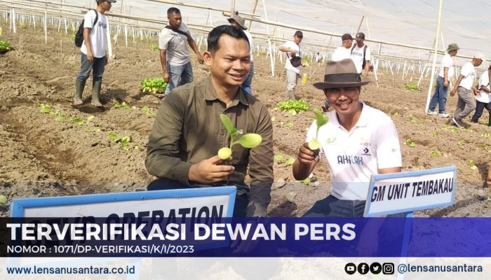 PTPN 1 Regional IV Jember Tanam Perdana Tembakau, Harapkan Kualitas Tahun Ini Naik 32 Persen
