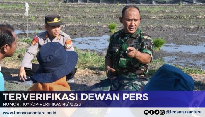 Danrem 081/DSJ Sebut Petani di Desa Gunungan Magetan Butuh Alsintan dan Aaliran Listrik