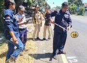 Dishub Probolinggo Dampingi BPTD II Jatim Survey Lokasi Pemasangan PJU Tenaga Surya