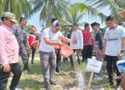 Pj Bupati Tanggamus Hadiri Sosialisasi Penanaman Vegetasi Pantai