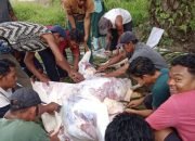 Kecamatan Sungai Sembilan Salurkan 12 Ekor Hewan Qurban