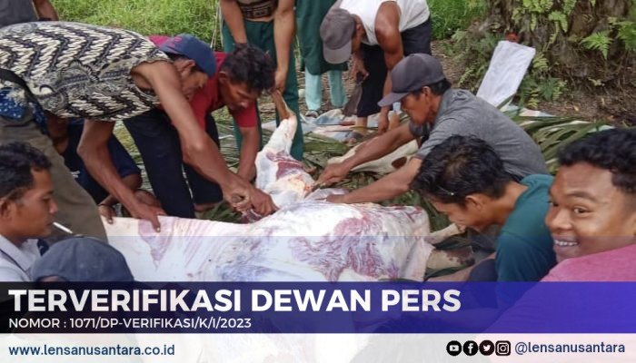Kecamatan Sungai Sembilan Salurkan 12 Ekor Hewan Qurban